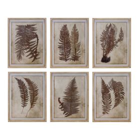 Fern Print in Frame (Set of 6) 19.5"L x 25.75"H Wood/MDF