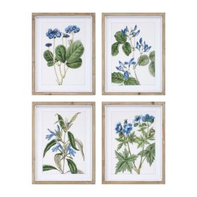 Framed Floral Print (Set of 4) 13.75"L x 17.5"H Wood/MDF/Glass